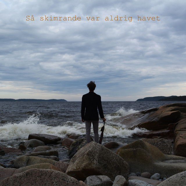 Så skimrande var aldrig havet cover art