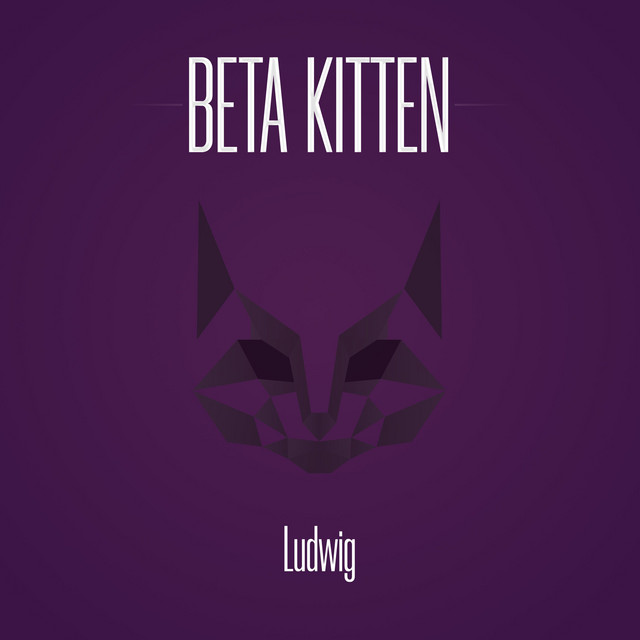 Ludwig cover art