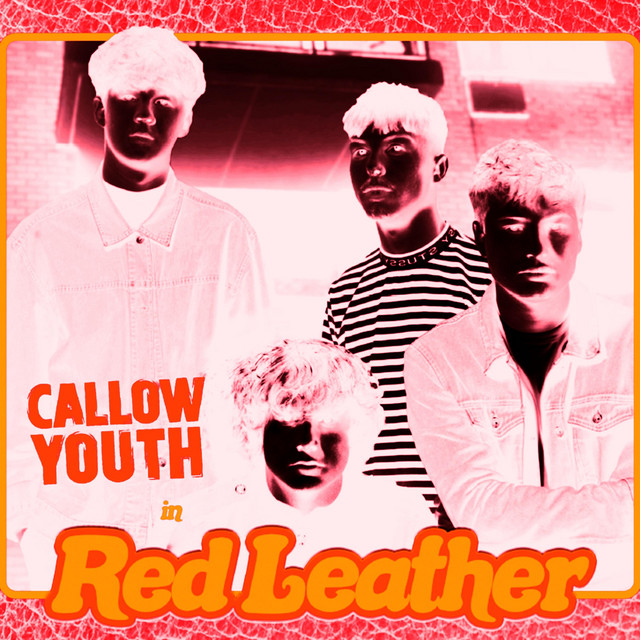 Red Leather (Dave Pemberton's Extended Remix) cover