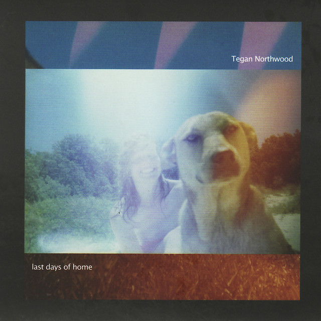 Last Days of Home cover art