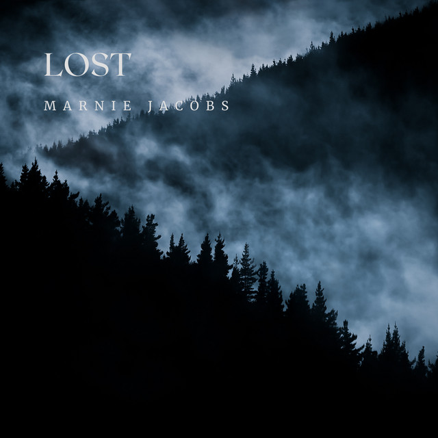 Lost cover