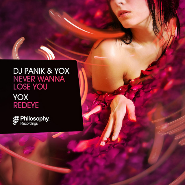 Never Wanna Lose You - Original Mix artwork