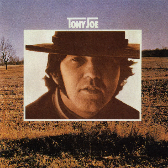 Groupy Girl - song and lyrics by Tony Joe White | Spotify