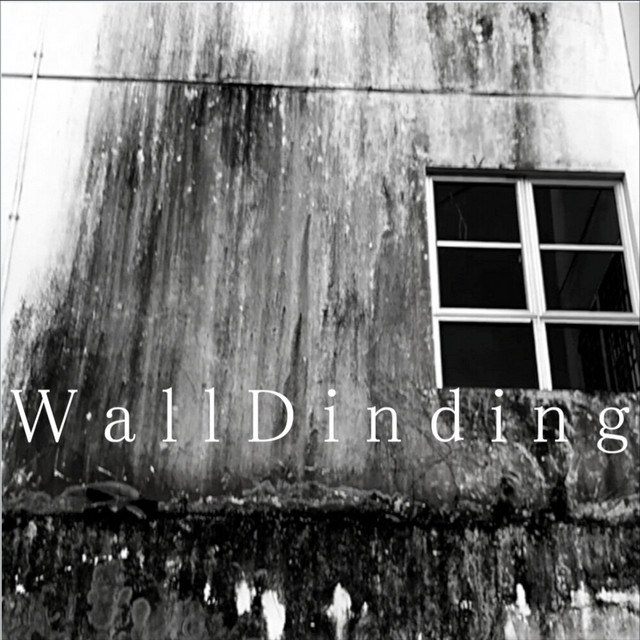 WallDinding cover art
