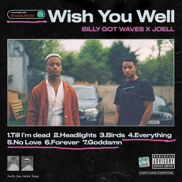 Wish You Well cover art