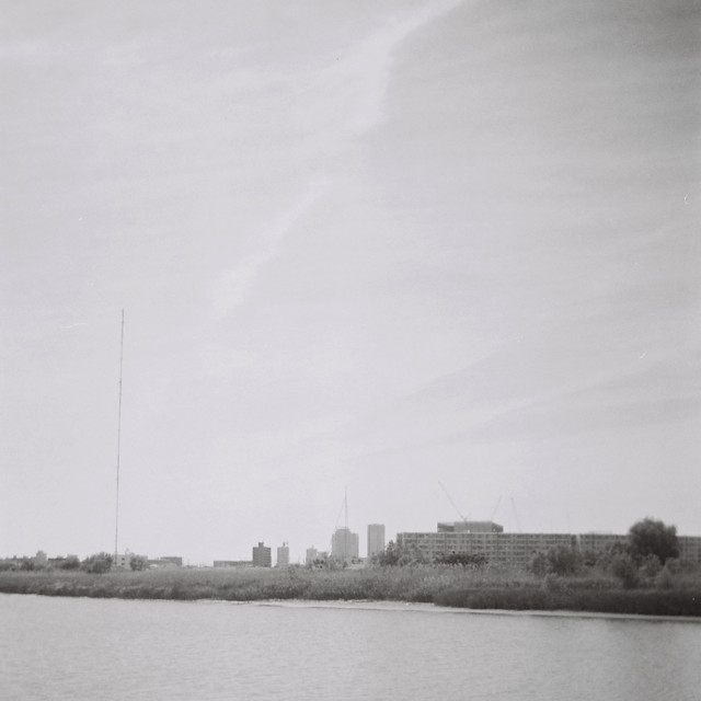 FIELDS cover art