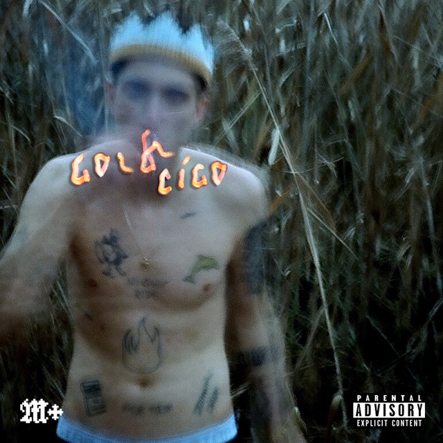 GoldCigo cover art