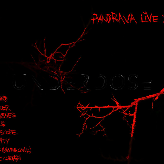 Pandrava Live 2020 cover