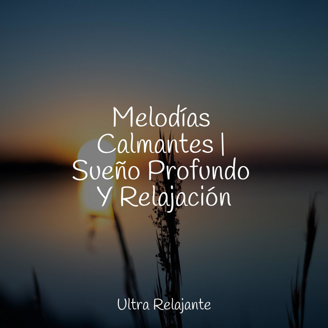 Melodías Calmantes | Sueño Profundo Y Relajación cover art