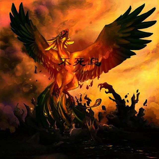 不死鸟- Single by 青岚| Spotify