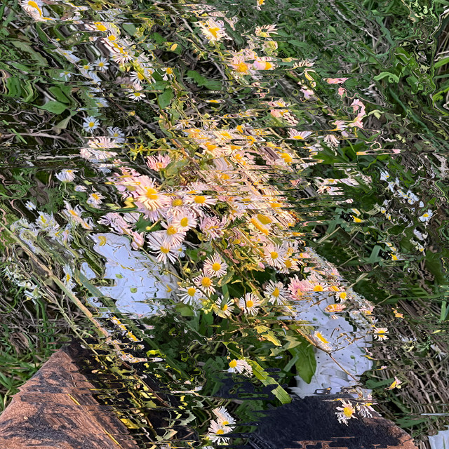 acceptance01 cover art