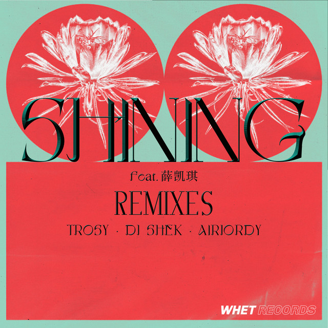 Shining (feat. 薛凱琪) [Remixes] cover art
