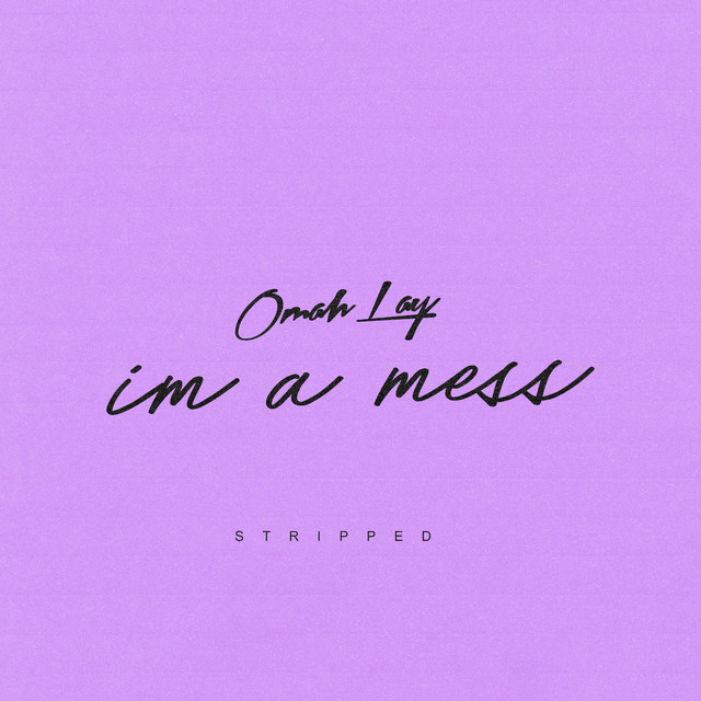 i'm a mess cover art