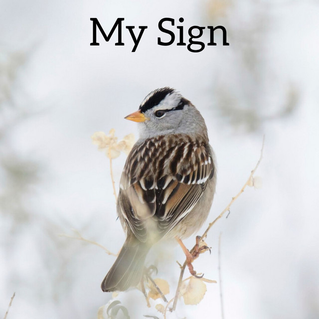 My Sign cover art