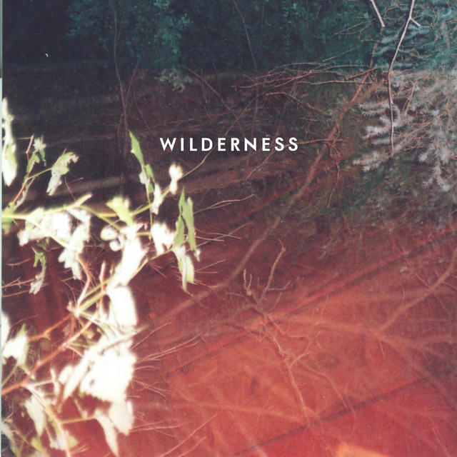 Wilderness cover art