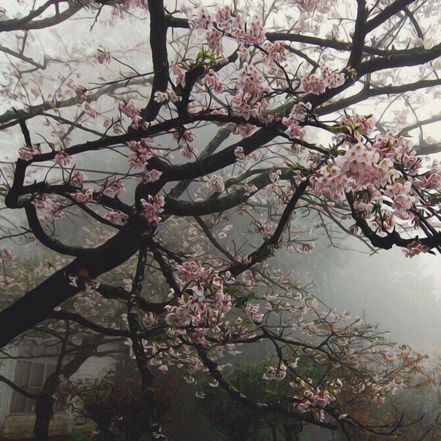 Mist of Silence