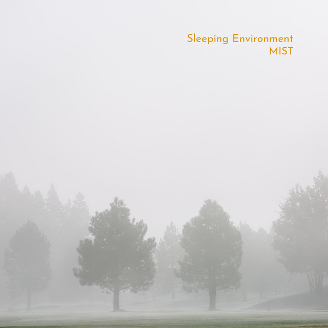 Mist cover art