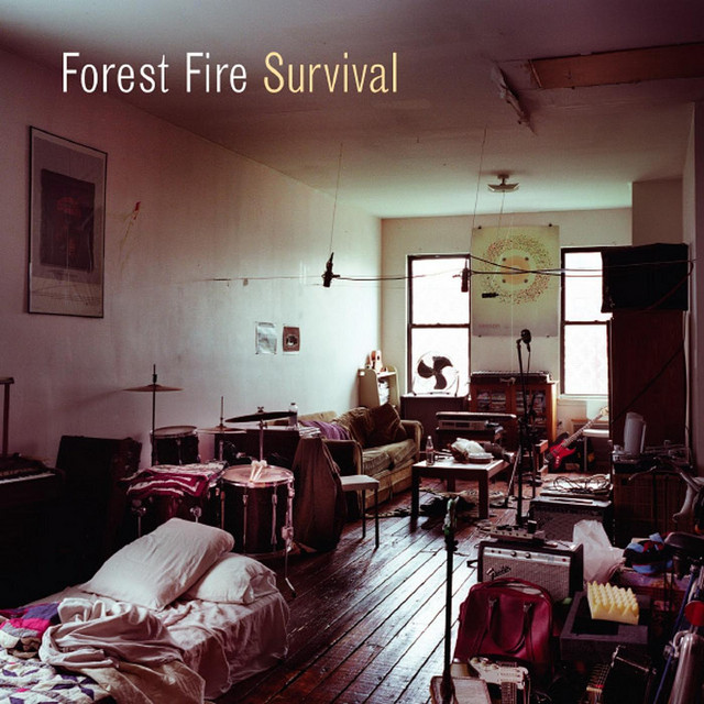 Survival cover art