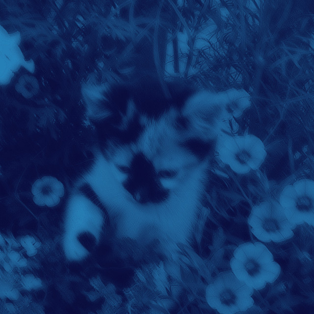  – Crushxi! - slowed + reverb