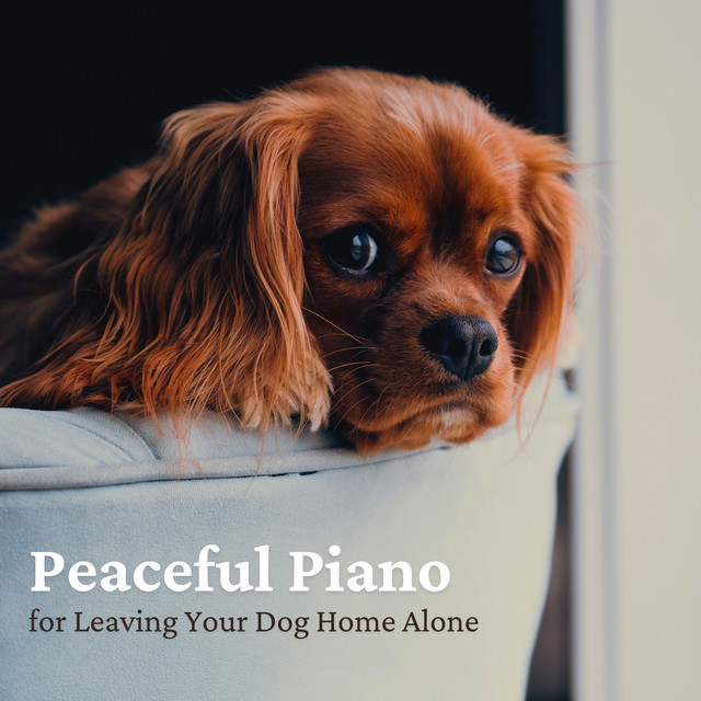 Peaceful Piano for Leaving Your Dog Home Alone cover art