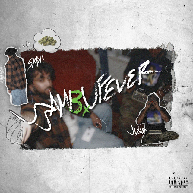 BambuFever cover art