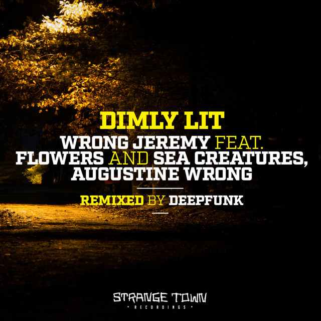 Dimly Lit feat. Flowers And Sea Creatures feat. Augustine Wrong - Deepfunk Remix album art