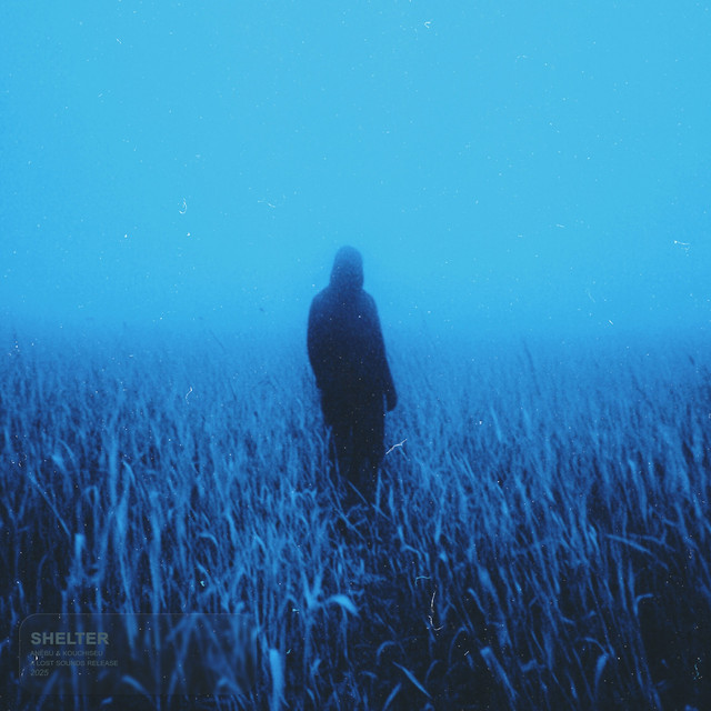 shelter