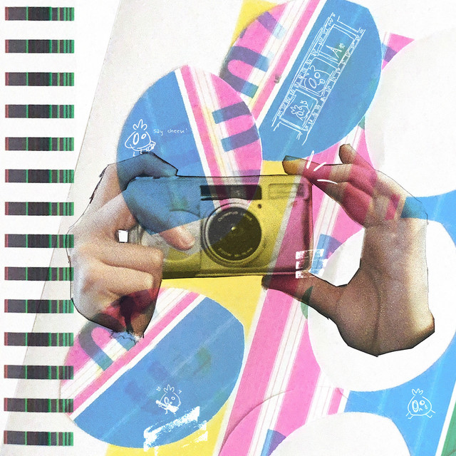 Camera cover art