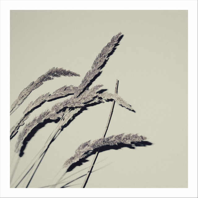 Asymmetry cover art