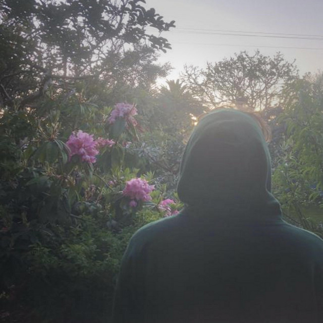 shade cover art