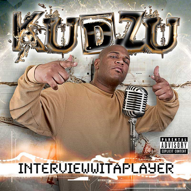 Interviewwitaplayer cover art