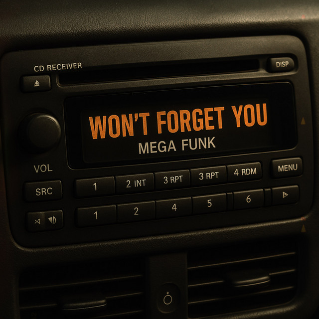MEGA FUNK WON'T FORGET YOU