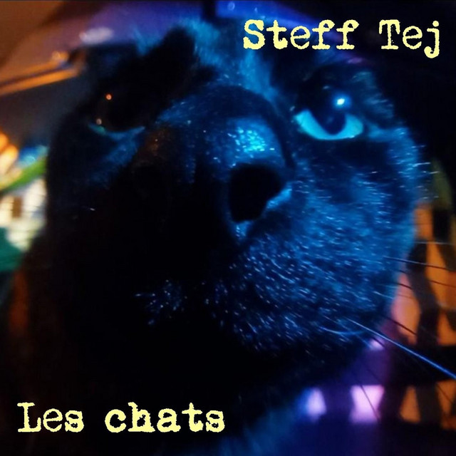 Les Chats – STEFF TEJ