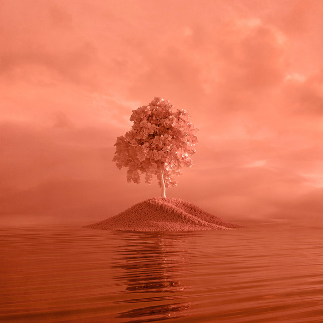 REFLECTIVE cover art