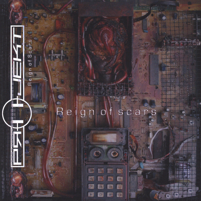 Reign of Scars cover art