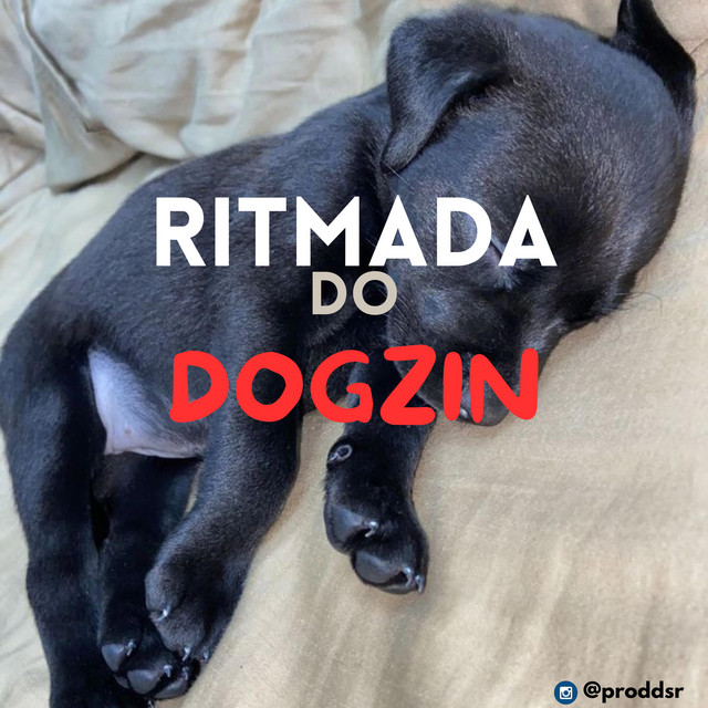RITMADA DO DOGZIN cover art