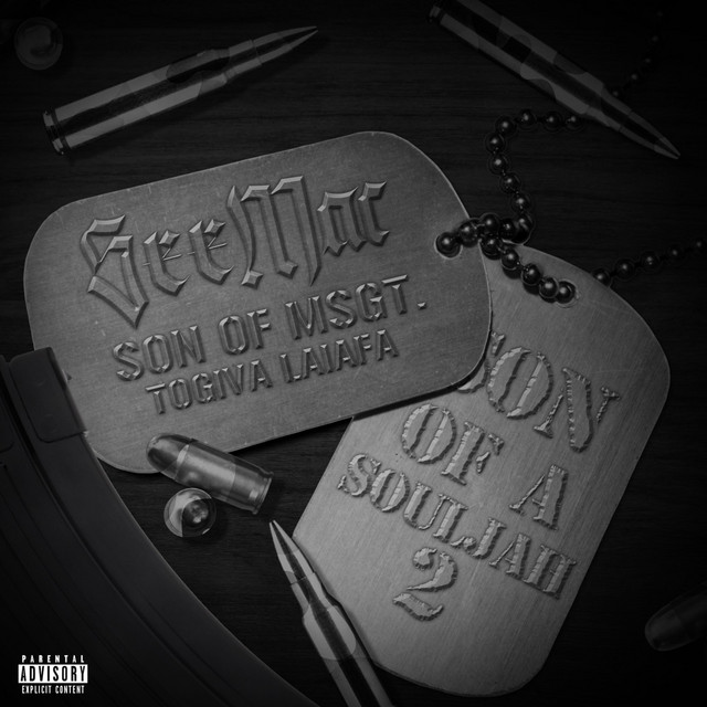 Son of a Souljah 2 cover art