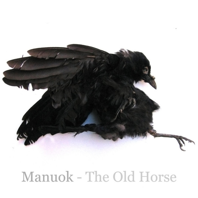 The Old Horse cover art