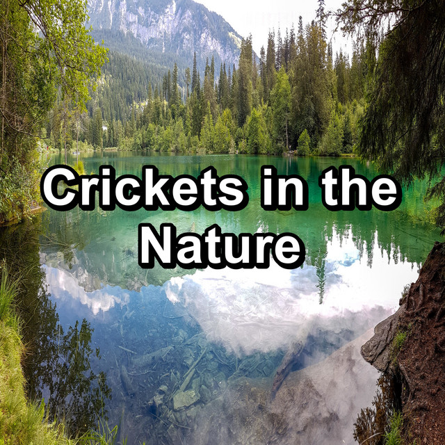 Crickets in the Nature cover art