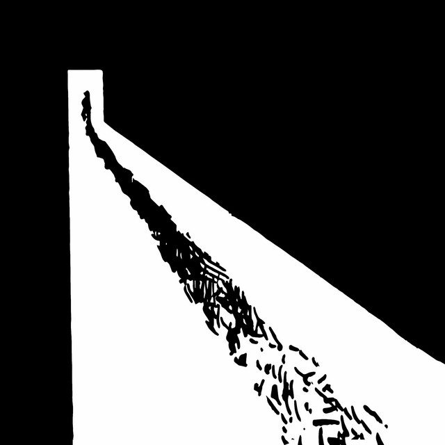 Fenix cover art