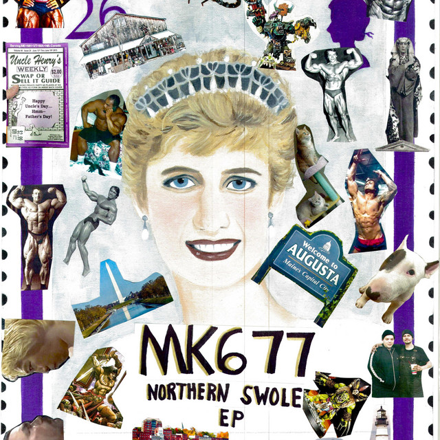 Northern Swole cover art