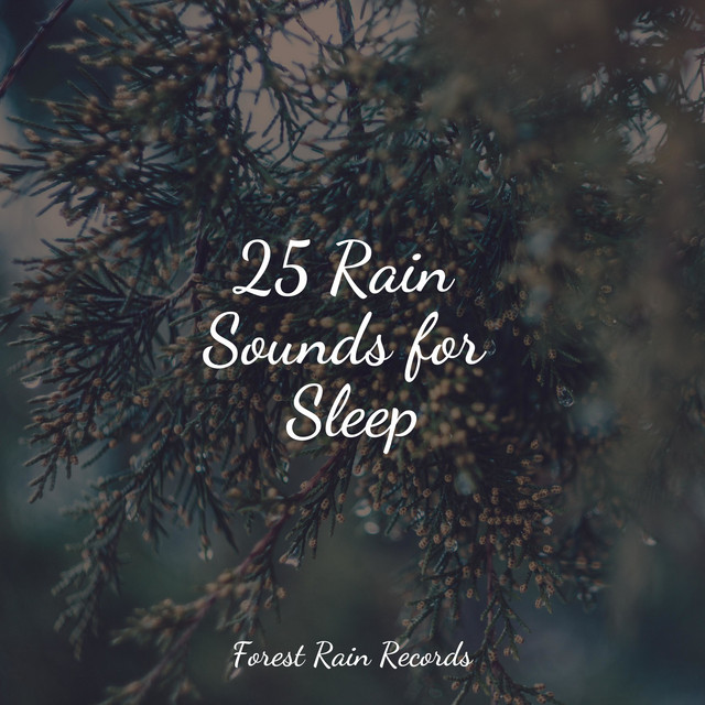 25 Rain Sounds for Sleep - Album by Rain Makers | Spotify