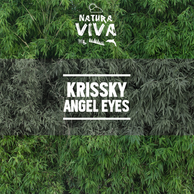 Angel Eyes album art
