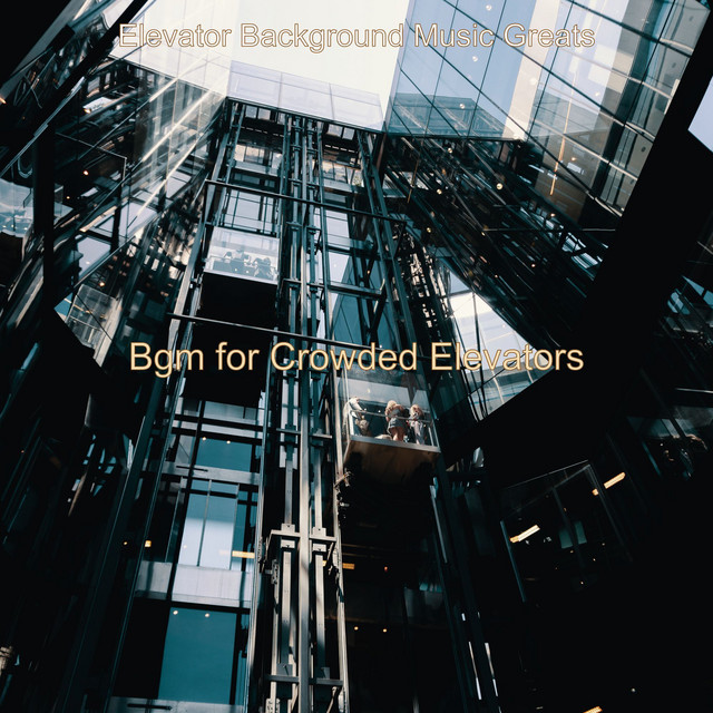Bgm for Crowded Elevators cover art