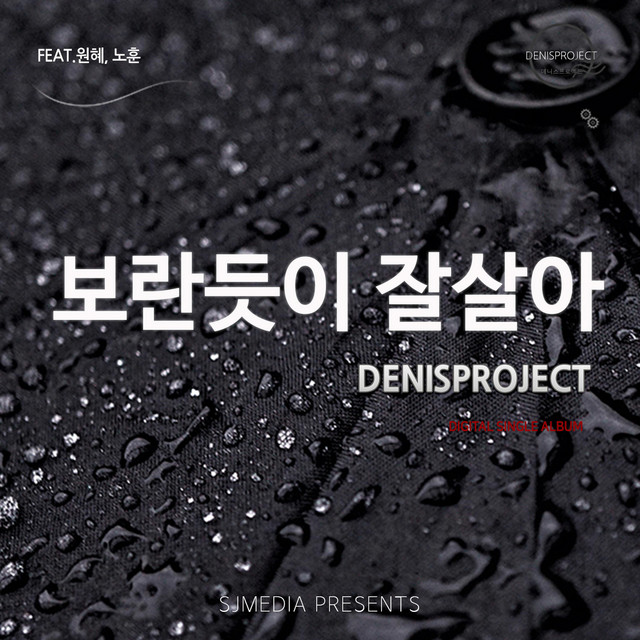 Pochette de 보란듯이 잘살아 de 2020