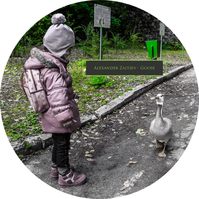 Goose album art