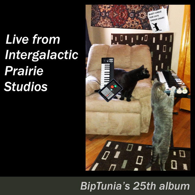 Fishing Destiny's Microtonal Brain - Live