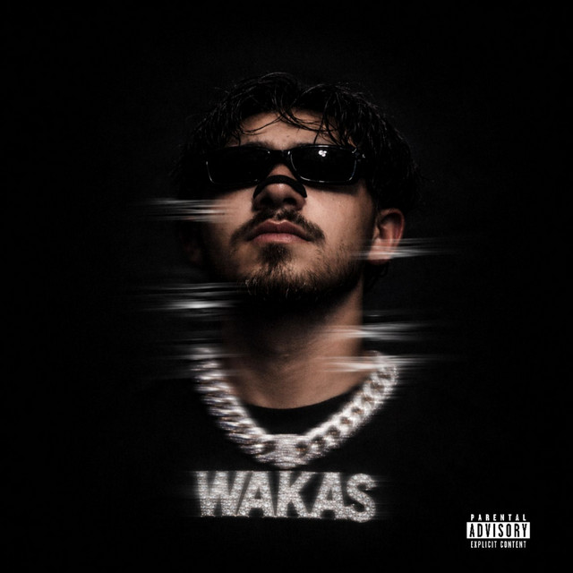 Willito cover art