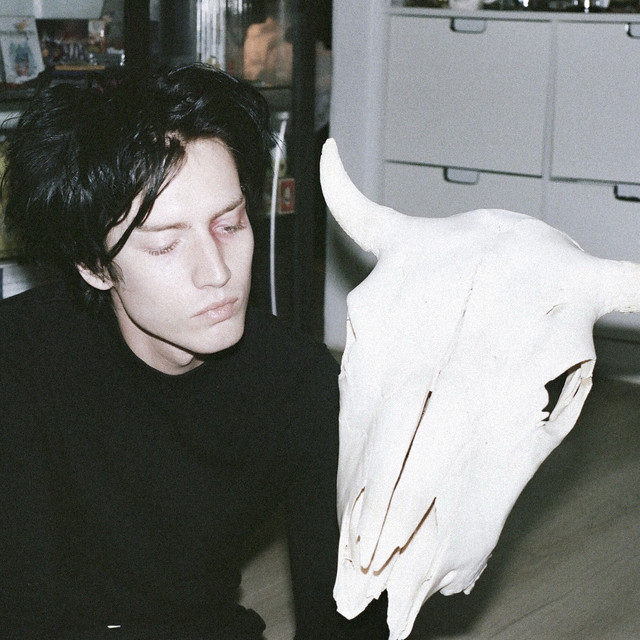 Leeches cover art