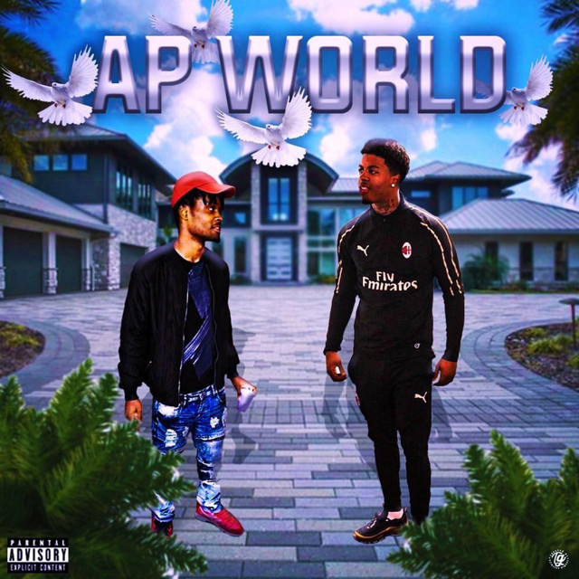AP World cover art